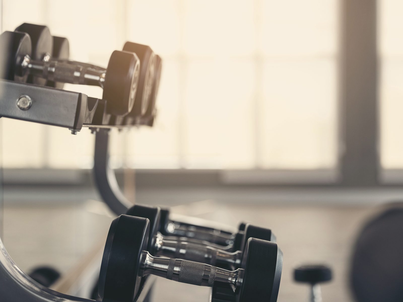 Dumbbells racked in a gym